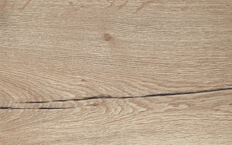 Oak structure nature