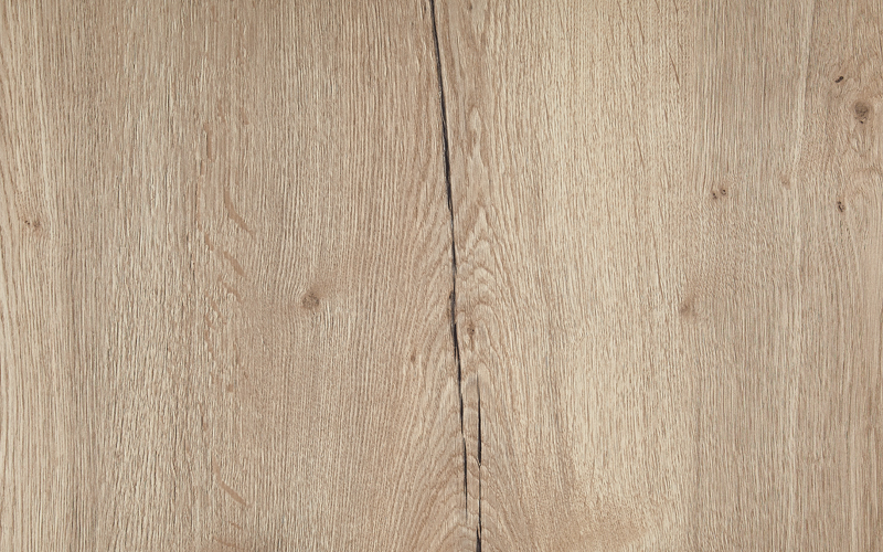 Oak structure nature